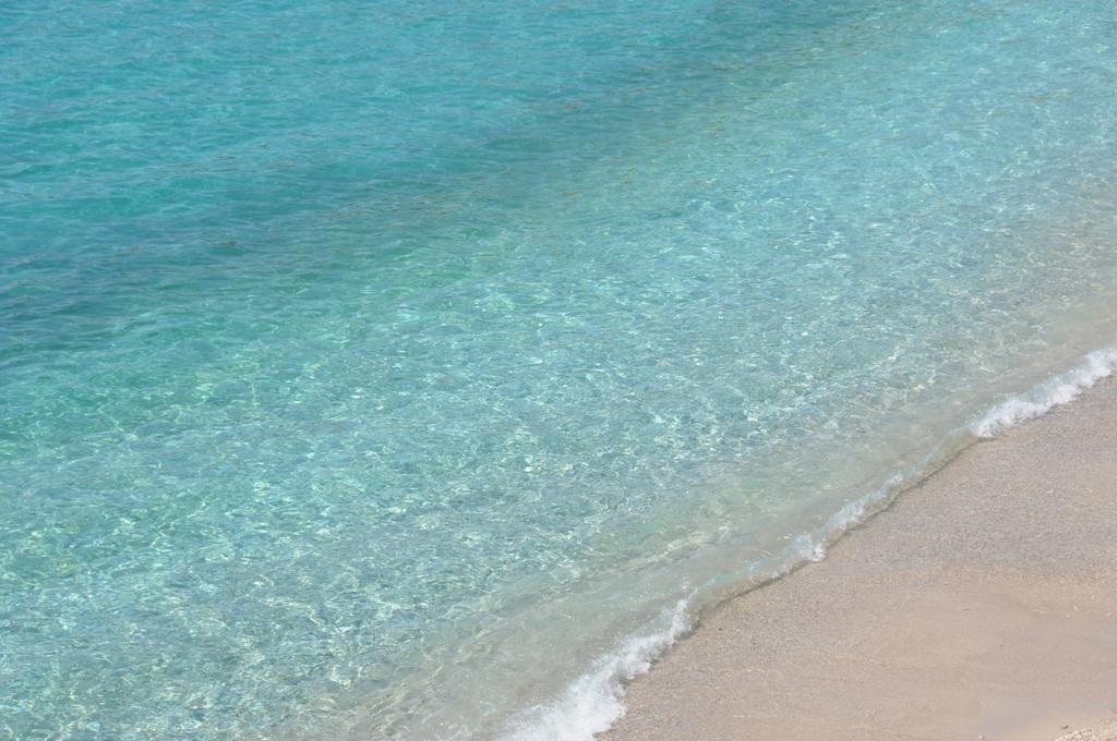 Apartment Lucky Budva Rom bilde