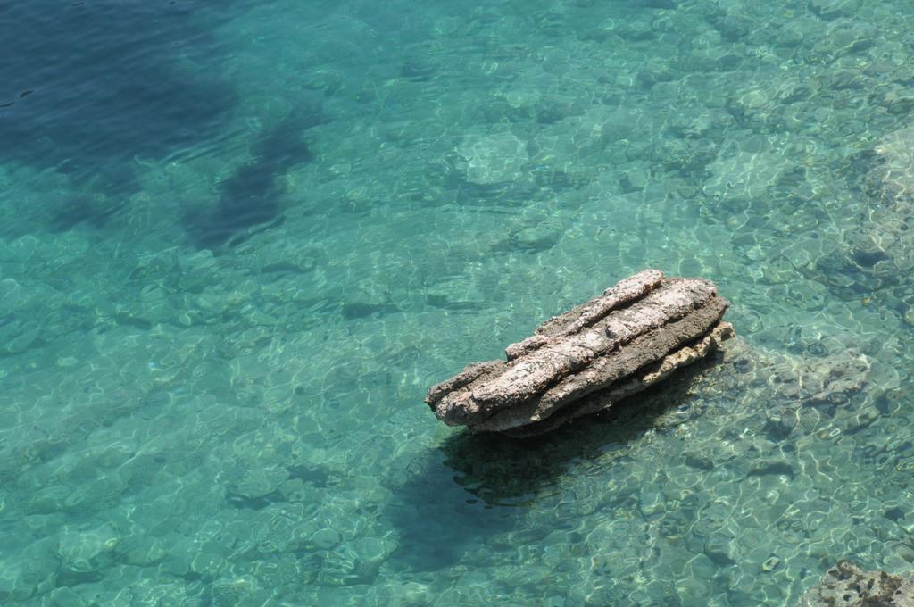 Apartment Lucky Budva Rom bilde